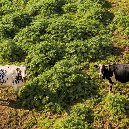 וילה Finca Rafal-fort